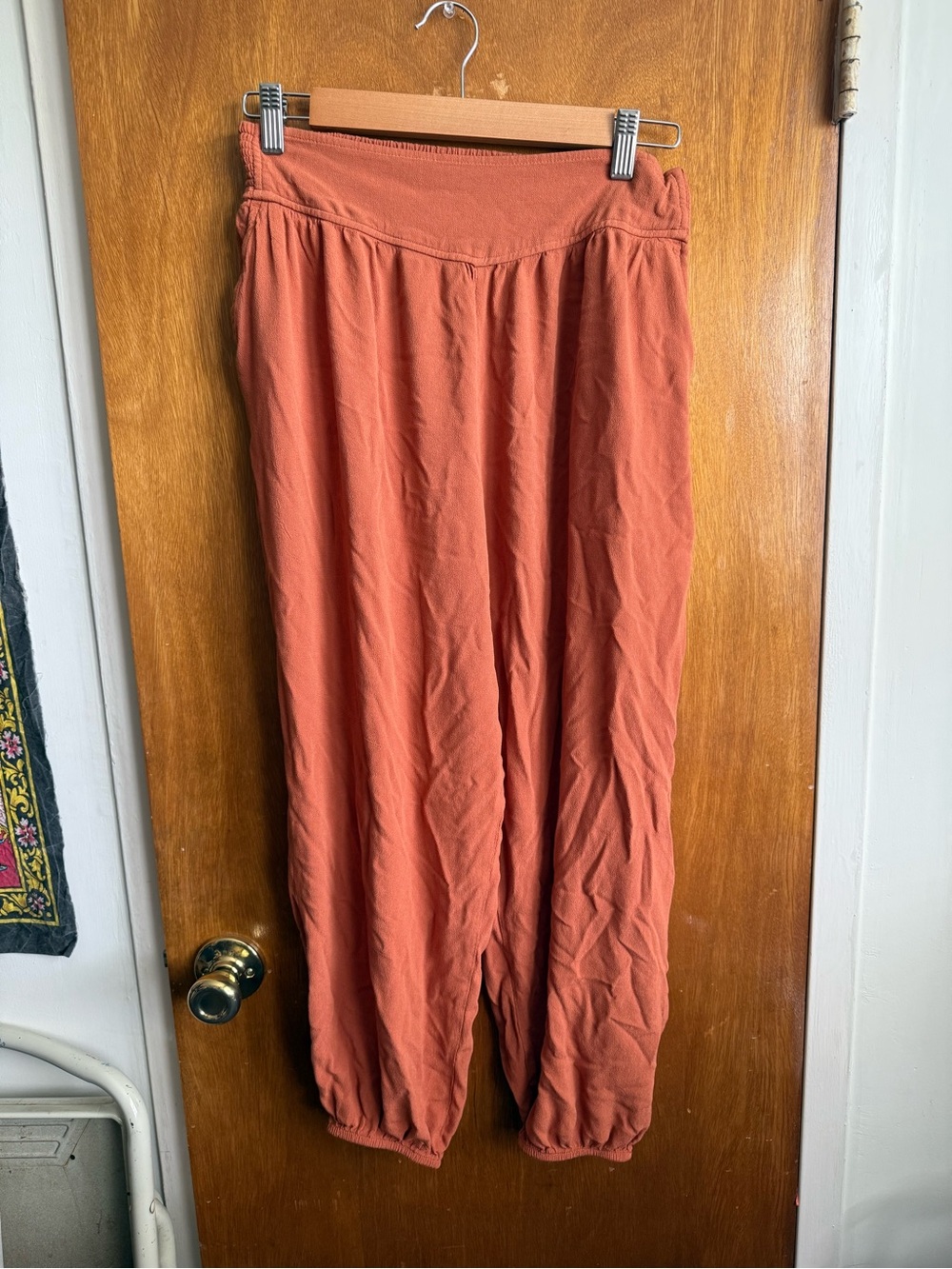 SO Relaxed Harem Pants in Rust Orange